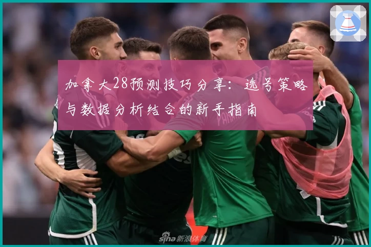 加拿大28预测技巧分享:选号策略与数据分析结合的新手指南