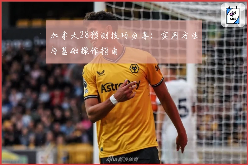 加拿大28预测技巧分享：实用方法与基础操作指南