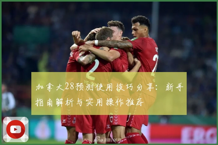 加拿大28预测使用技巧分享：新手指南解析与实用操作推荐