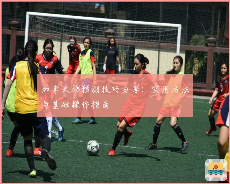 加拿大28预测技巧分享：实用方法与基础操作指南