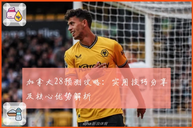 加拿大28预测攻略：实用技巧分享及核心优势解析
