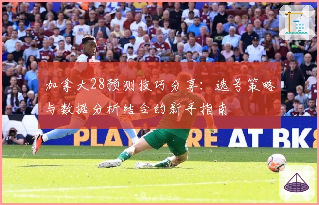 加拿大28预测技巧分享：选号策略与数据分析结合的新手指南