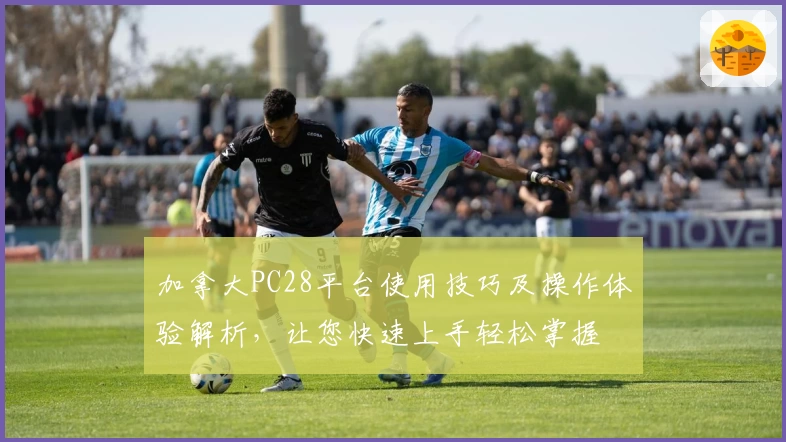 加拿大PC28平台使用技巧及操作体验解析,让您快速上手轻松掌握